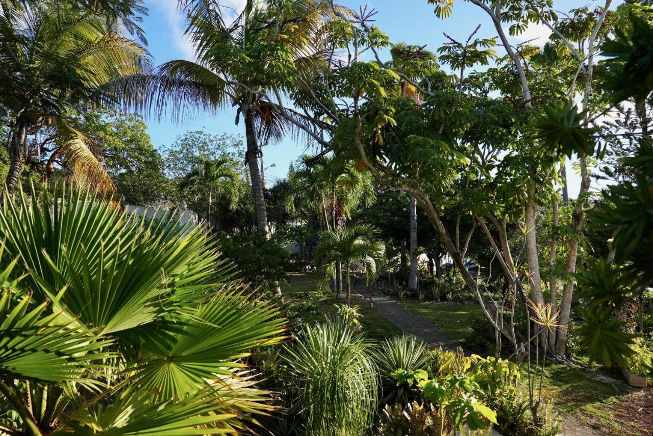 Quill Gardens Boutique Hotel Oranjestad  Extérieur photo