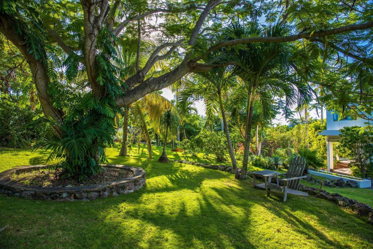 Quill Gardens Boutique Hotel Oranjestad  Extérieur photo