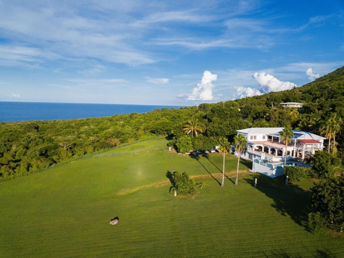 Quill Gardens Boutique Hotel Oranjestad  Extérieur photo